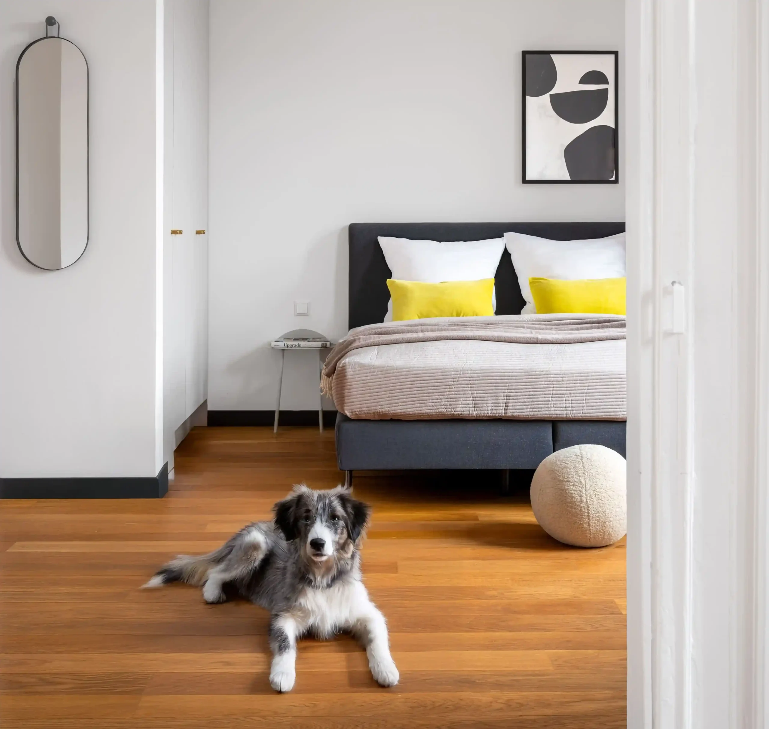 Bild von einem minimalistischen Schlafzimmer-Bereich mit einem aufmerksamen Hund im Vordergrund