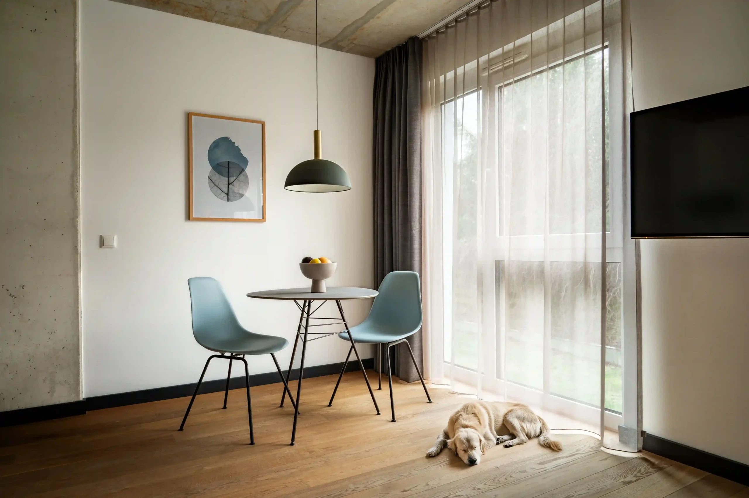 Bild von einem minimalistischen Esszimmerbereich mit bodentiefen Fenstern, mit einem schlafenden Hund im Vordergrund